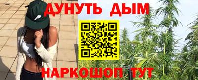 стафф Будённовск