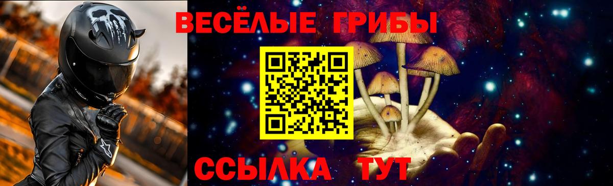 Тавда  Галлюциногенные грибы прущие грибы  Вход с VPN  Галлюциногенные грибы мицелий 